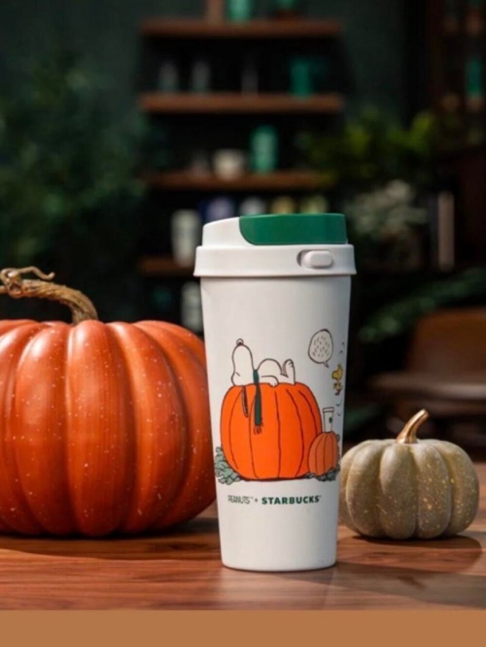 Starbucks Snoopy & The Great Pumpkin